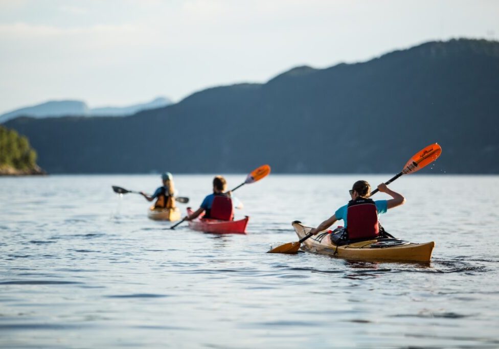 Three people in single kayaks kayaking on a fjord in a line.